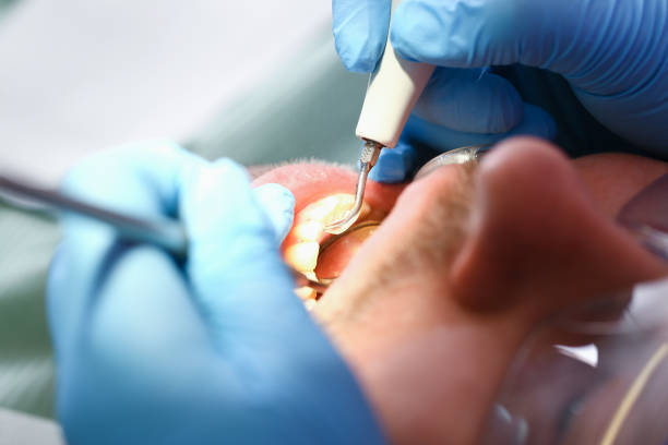 Best Cosmetic Emergency Dentistry in Shaw, MS
